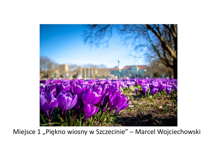 Pierwsze_slady_wiosny-konkurs-page-002.jpg