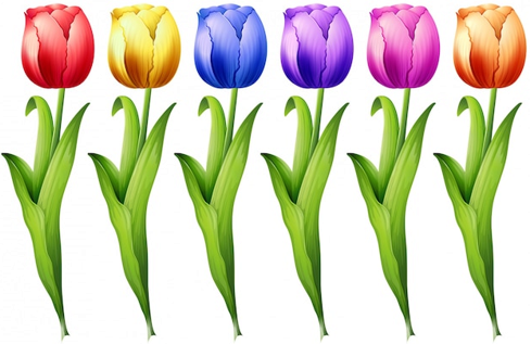 wiosna_kodus_tulipany.png