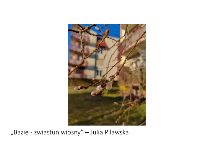 Pierwsze_slady_wiosny-konkurs-page-008.jpg