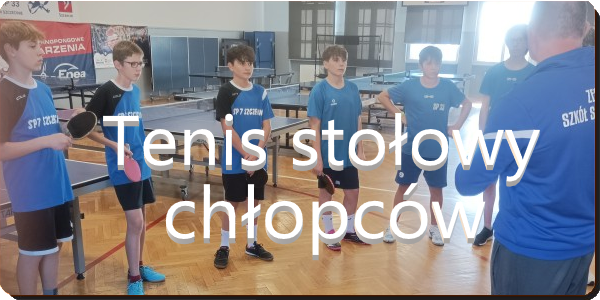 2023_tenis_stolowy_chlopcy-ico.png